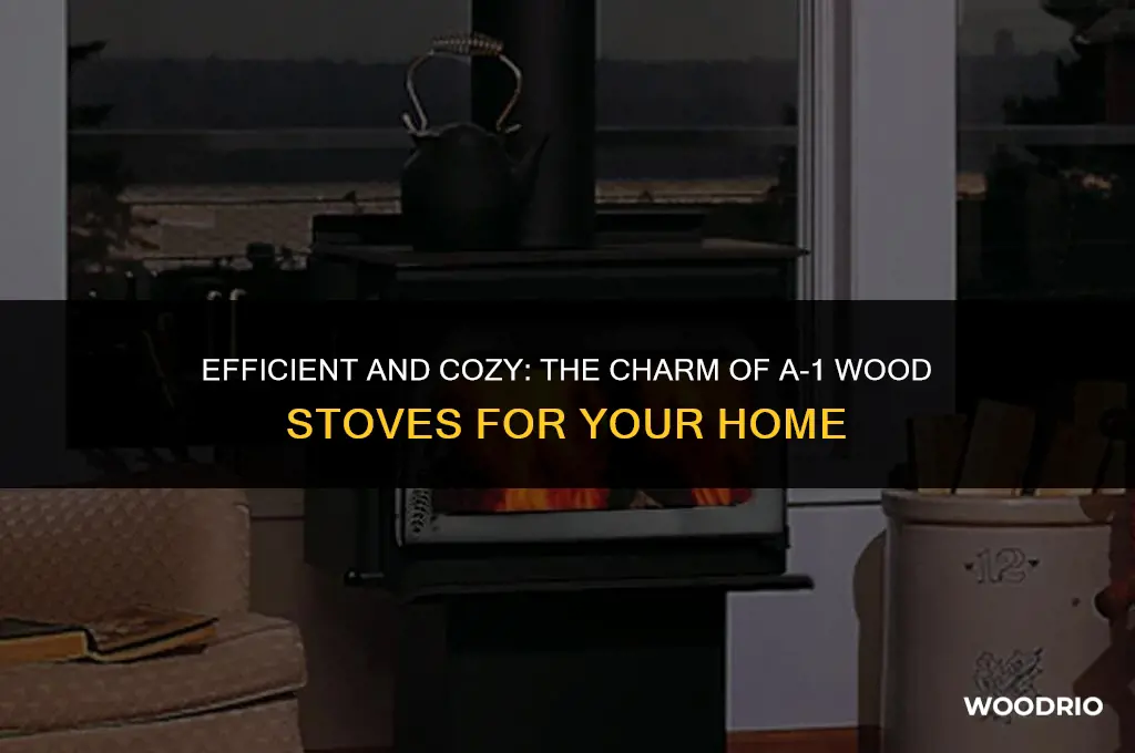 a-1 wood stoves