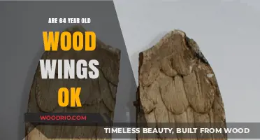 Are Decades-Old Wooden Wings Safe for Flight? Expert Insights