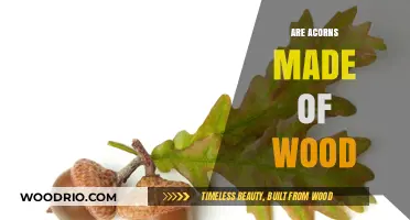 Unveiling Nature's Secret: The Surprising Truth About Acorns and Wood