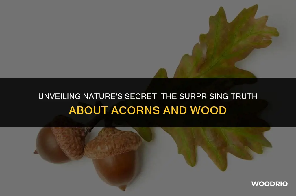 are acorns made of wood