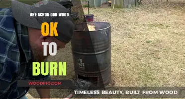 The Truth About Burning Acorn Oak Wood: Is It Safe?