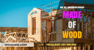 Exploring the Myth: Are All American Houses Really Made of Wood?