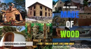 Exploring Diverse Housing Materials: Beyond the Wooden Framework