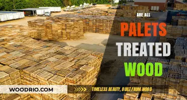Exploring the Myths: Are All Pallets Treated Wood?