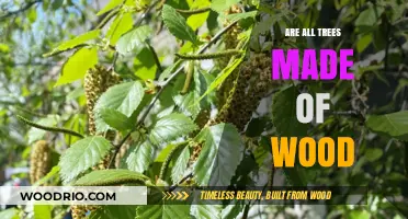 Exploring the Surprising Diversity of Tree Composition