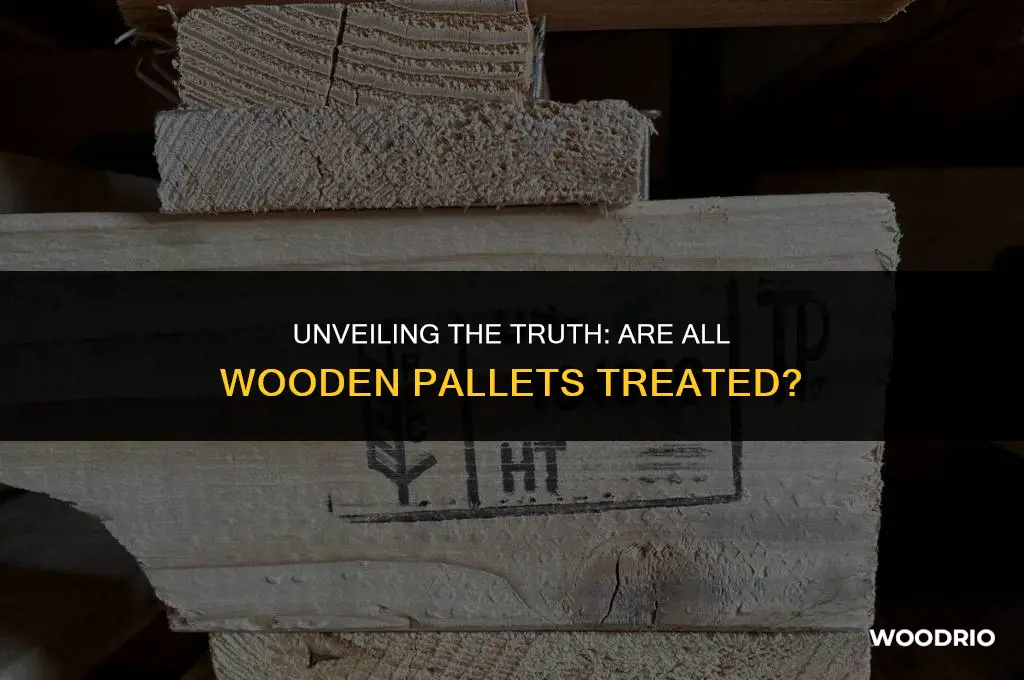are all wooden pallets treated