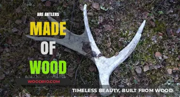 Unveiling Nature's Secret: The Surprising Truth About Antlers
