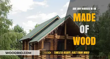 Exploring Wooden Homes in the UK: A Sustainable Housing Option?