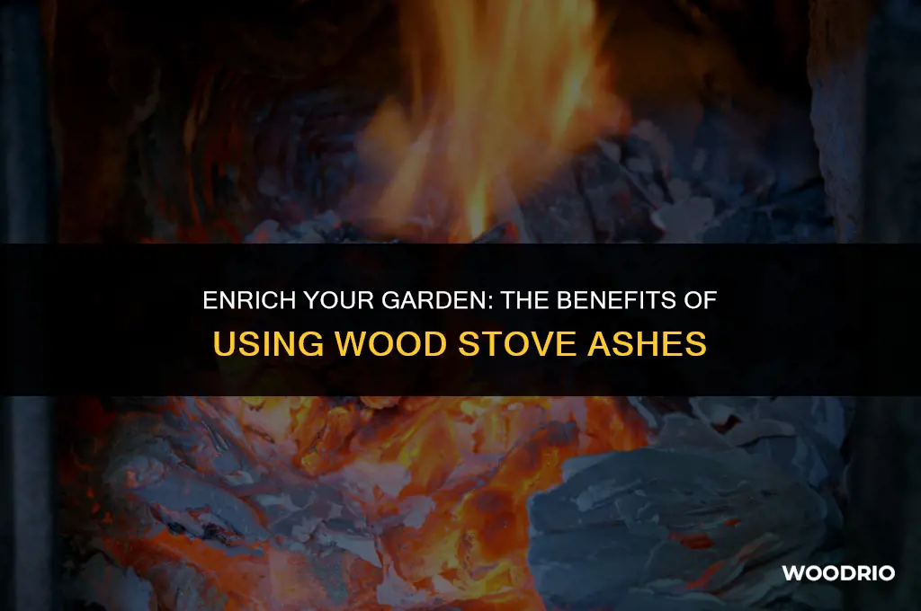 are ashes from a wood stove good for a garden