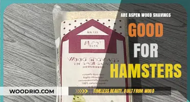 Hamster Care: The Benefits and Uses of Aspen Wood Shavings