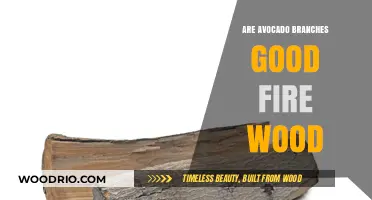Avocado Branches as Firewood: A Sustainable Choice for Your Hearth