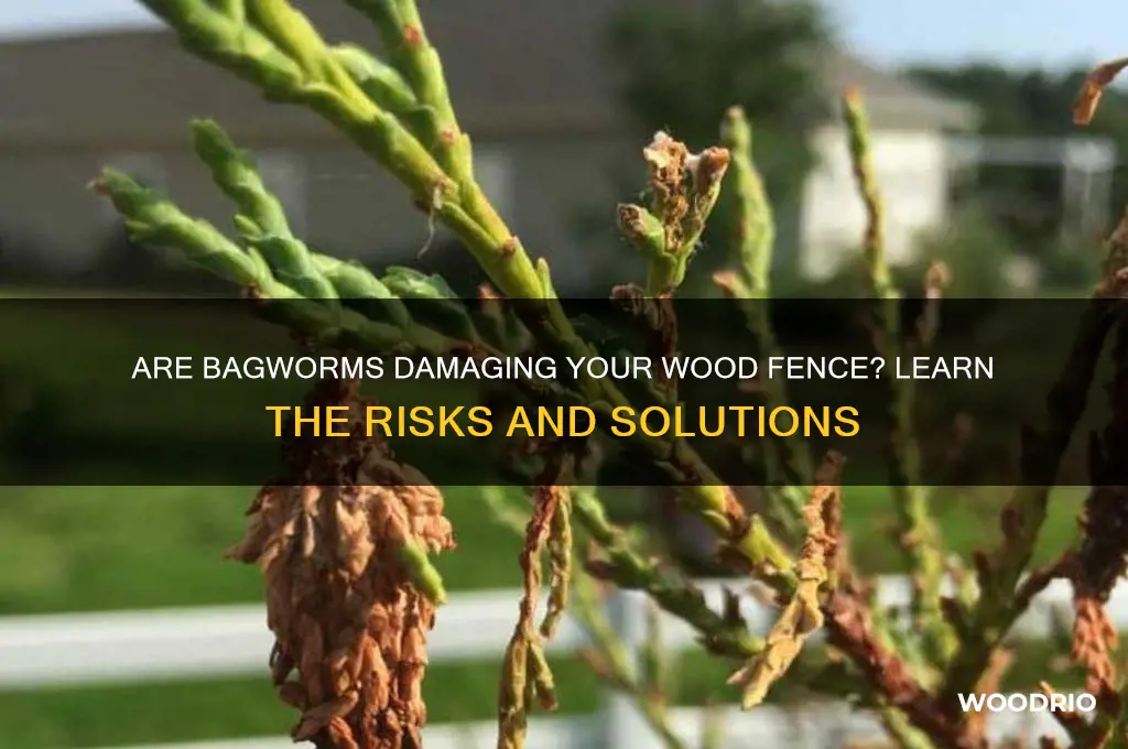 are bagworms harmful to wood fences