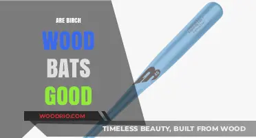 Exploring the Quality and Performance of Birch Wood Bats