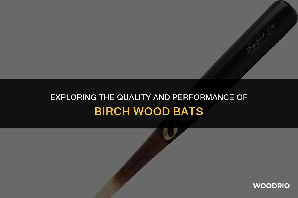 are birch wood bats good