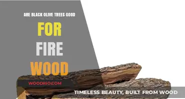 Black Olive Trees: A Sustainable Firewood Alternative?