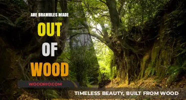 Unraveling Nature's Mystery: The Wooden Composition of Brambles
