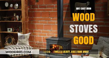 Exploring the Pros and Cons of Cast Iron Wood Stoves