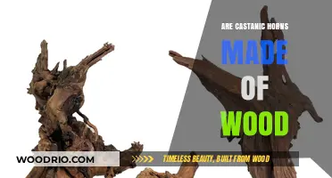 Unveiling the Truth: Are Castanic Horns Really Wooden?
