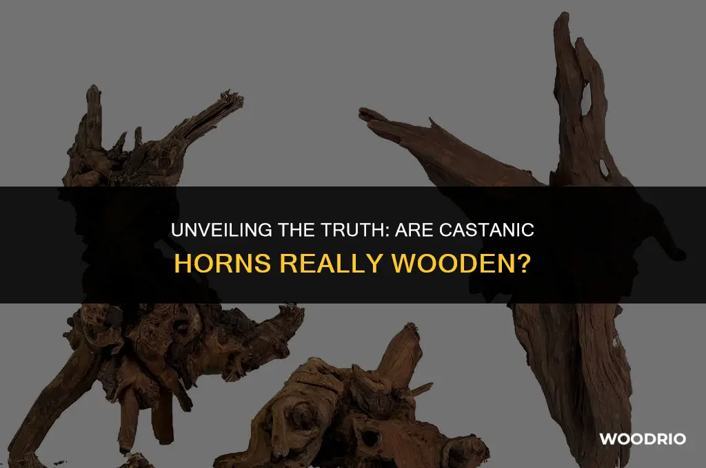 are castanic horns made of wood