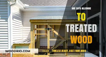 Exploring Feline Sensitivities: Are Cats Allergic to Treated Wood?