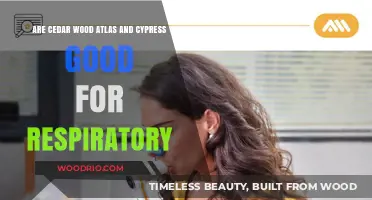 Exploring the Respiratory Benefits of Cedar Wood Atlas and Cypress