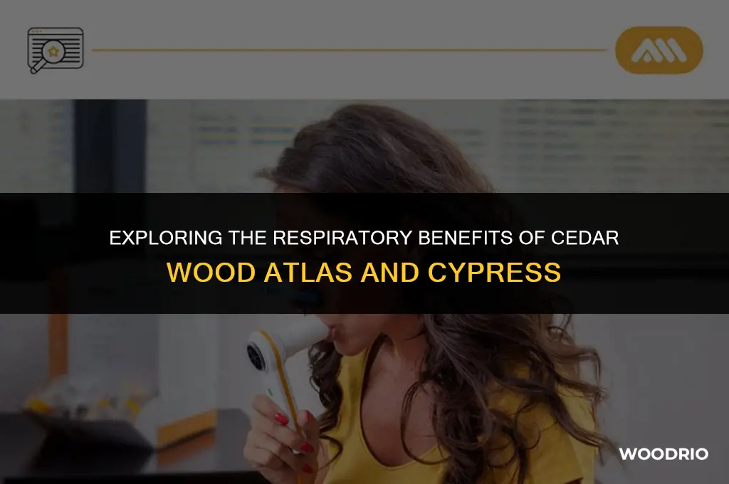 are cedar wood atlas and cypress good for respiratory