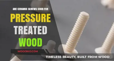 Exploring the Durability of Ceramic Screws in Pressure Treated Wood