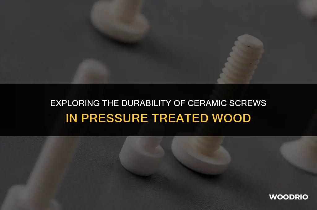 are ceramic screws good for pressure treated wood