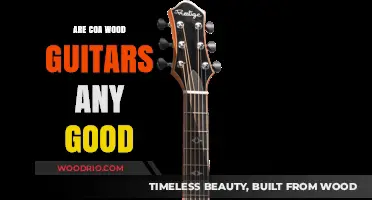 Exploring the Quality and Craftsmanship of COA Wood Guitars