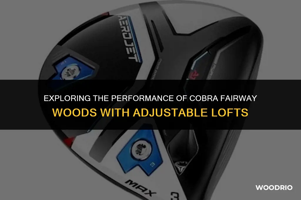 are cobra fairway woods with the adjustable lofts any good
