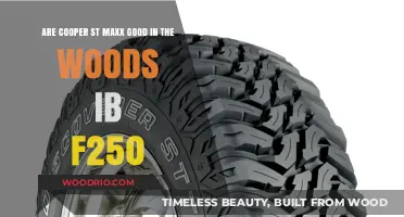 Exploring the Woods: Cooper ST Maxx's Performance on F-250