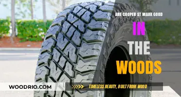 Exploring the Woods: A Review of Cooper ST Maxx Tires