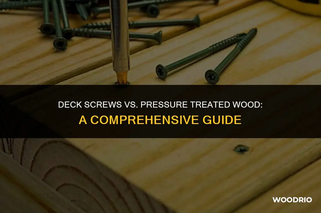 are deck screws good for pressure treated wood