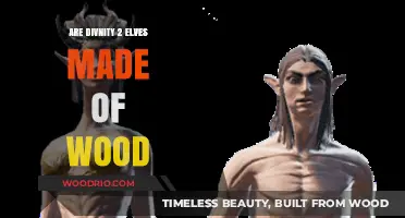 Unveiling the Truth: Are Divinity 2 Elves Wooden Beings?