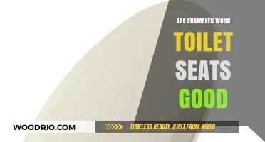 Exploring the Pros and Cons of Enameled Wood Toilet Seats