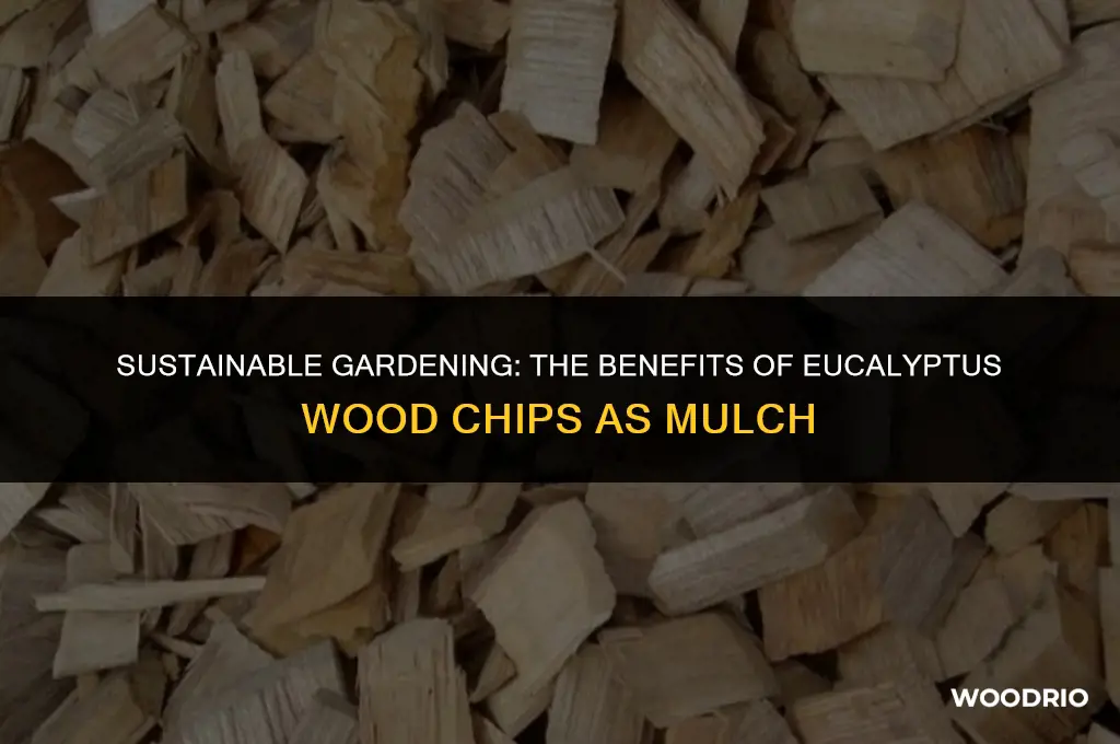 are eucalyptus wood chips good for mulch