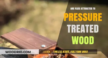 Decoding Fly Behavior: The Attraction to Pressure-Treated Wood Explained