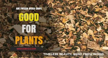 Nurturing Growth: The Benefits of Fresh Wood Chips for Plants