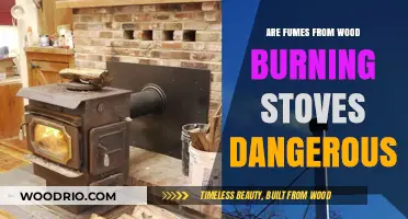 The Hidden Dangers of Wood Burning Stoves: Fumes and Health Risks