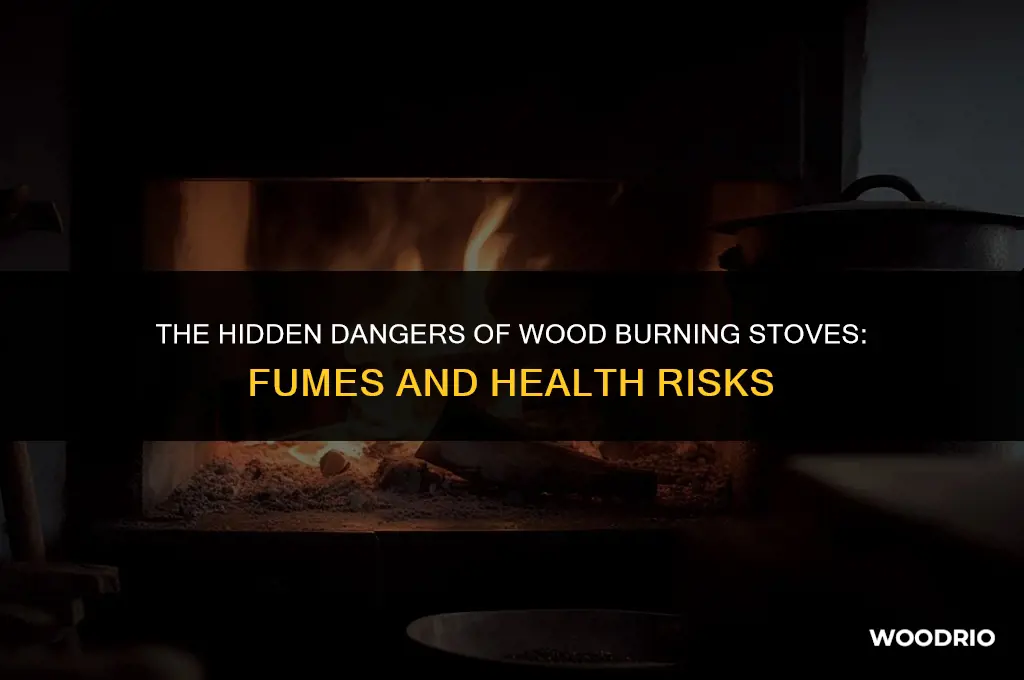 are fumes from wood burning stoves dangerous