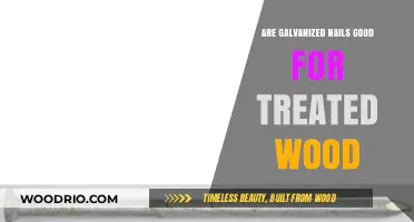 Galvanized Nails vs. Treated Wood: A Comprehensive Guide
