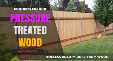 Are Galvanized Nails Suitable for Pressure-Treated Wood?