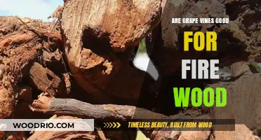 Exploring the Use of Grape Vines as Firewood: Pros and Cons