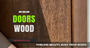 Exploring the Pros and Cons of Hollow Wooden Doors