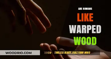 Are Humans Like Warped Wood: Exploring Our Flawed Nature