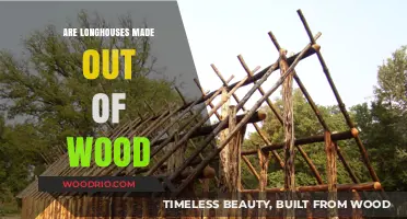 Exploring Traditional Dwellings: The Wooden Construction of Longhouses