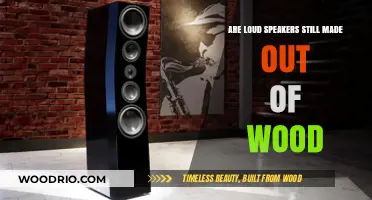 The Evolution of Speaker Materials: Are Loud Speakers Still Made Out of Wood?
