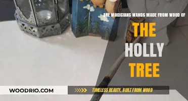 Unveiling the Mystique: Are Magician's Wands Crafted from Holly Wood?