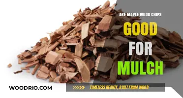 Exploring the Benefits of Maple Wood Chips as Garden Mulch