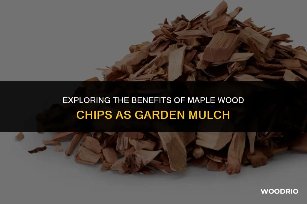are maple wood chips good for mulch